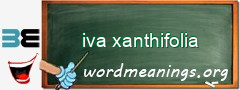 WordMeaning blackboard for iva xanthifolia